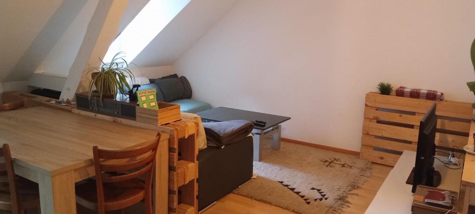 Gemuetliche Dachwohnung St. Gallen Luaran gambar